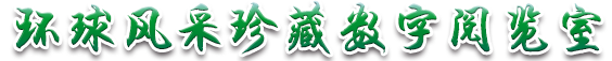 环球风采